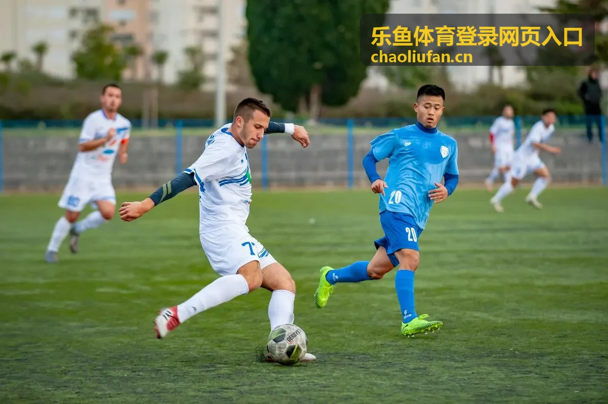 乐鱼体育登录网页入口常见问题排查步骤示意