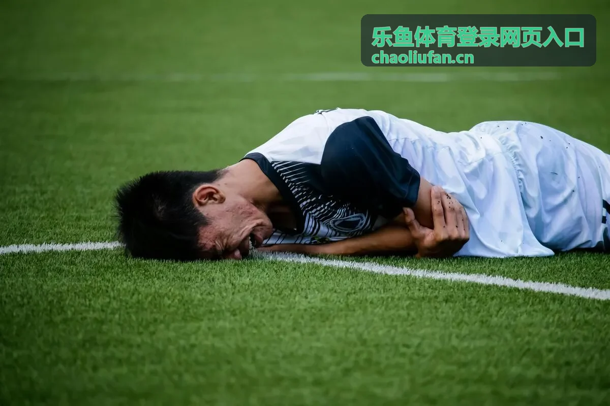 乐鱼体育登录网页入口的验证码与设备校验处理配图